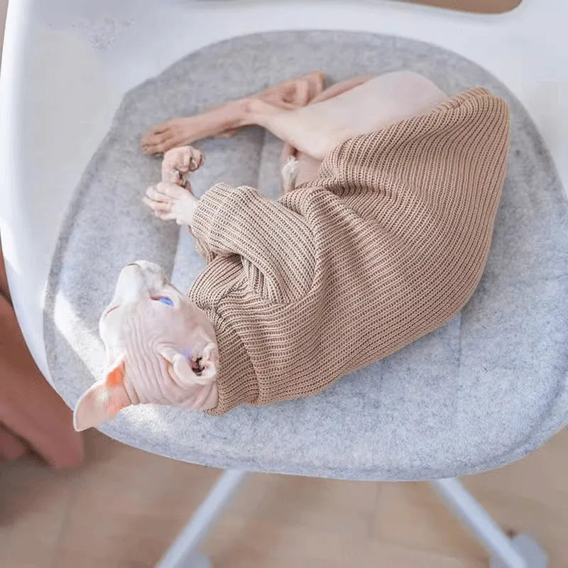 Brown elastic knit pet sweater for dogs, moisture-proof casual top on a small dog model