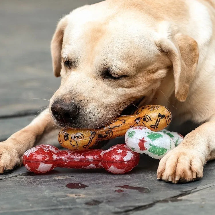 Printed bone-shaped TPR dog chew toy in seasonal colours that makes a nibbling sound