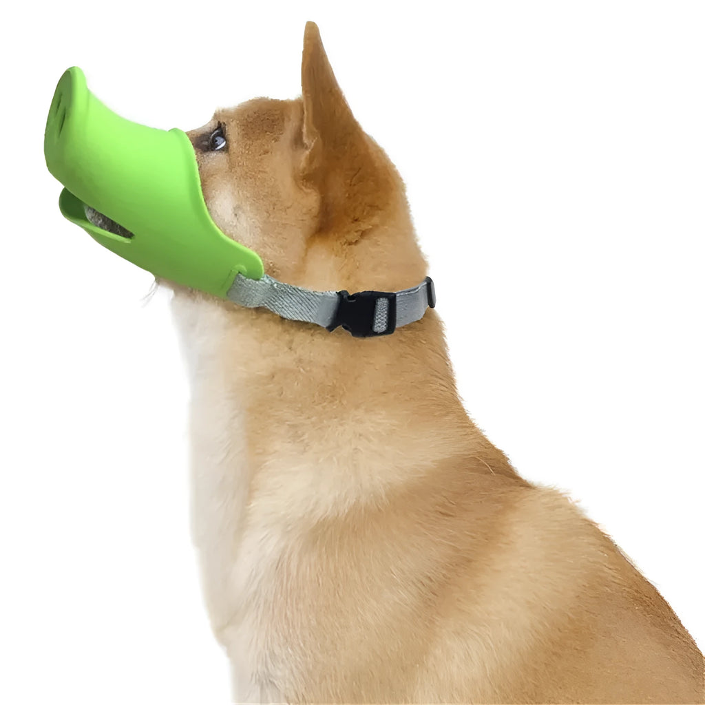 Blue and green silicone anti-bite mouth covers for dogs and pet pigs in two sizes