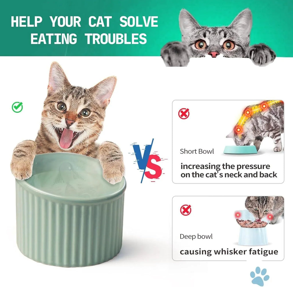 A ceramic elevated cat bowl with a tilted, round design shown in green, positioned on a floor.