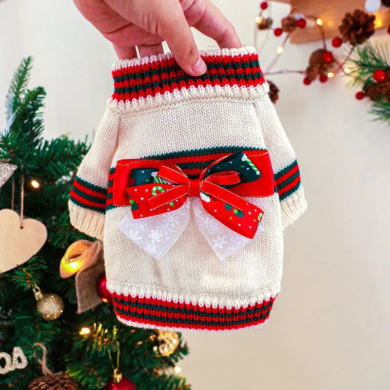 Dog wearing Christmas jumper in red colour, seasonal pet clothing for holiday photos