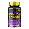BSYS Shilajit Gummies 60 count bottle dietary supplement for energy and vitality