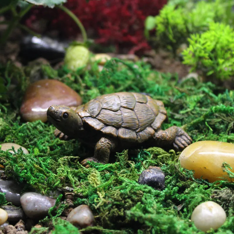Close-up of a detailed brown resin turtle ornament for miniature garden displays.