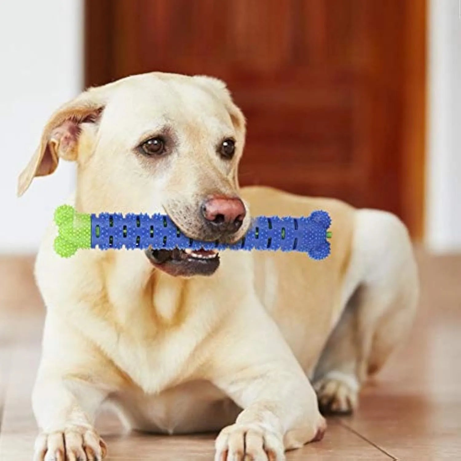 A blue-green silicone dog dental chewing stick with a textured brush head and nodules, showing its 25cm length.