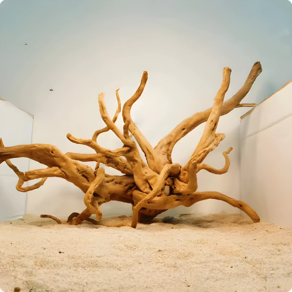 Xiaoqi root natural wood aquarium ornament for fish tank decoration, shown in azalea root style.