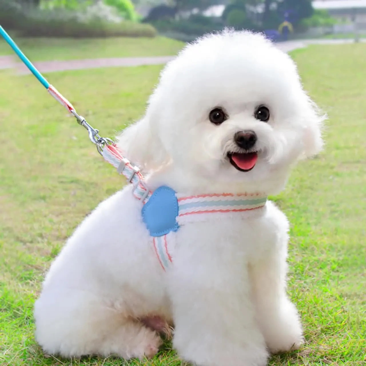 Blue breathable chest vest dog leash for small-medium breeds with 1.5m leash