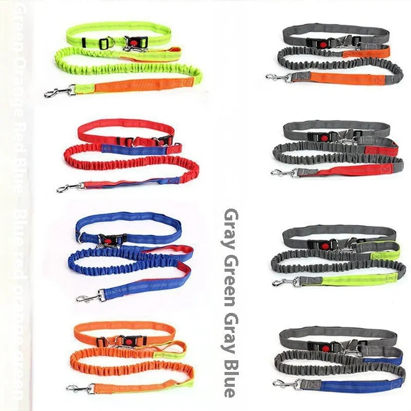 Gray and green nylon dog leash with reflective filament sling for outdoor night safety