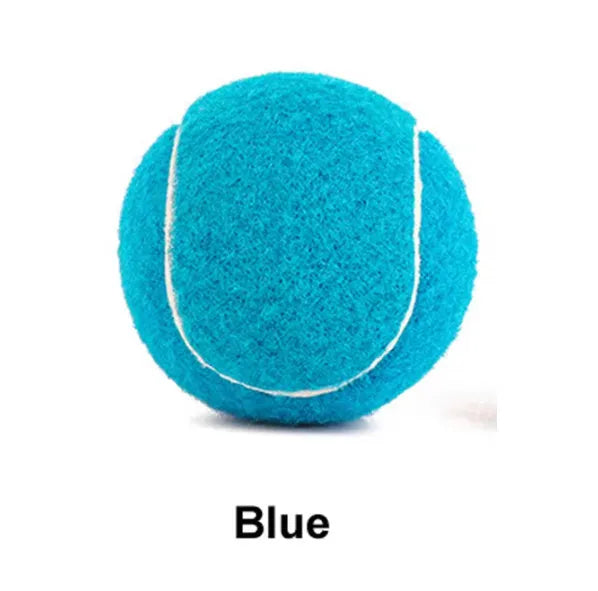 Bright pink, blue, yellow, green, and orange 6.3cm rubber tennis balls for dogs on grass.