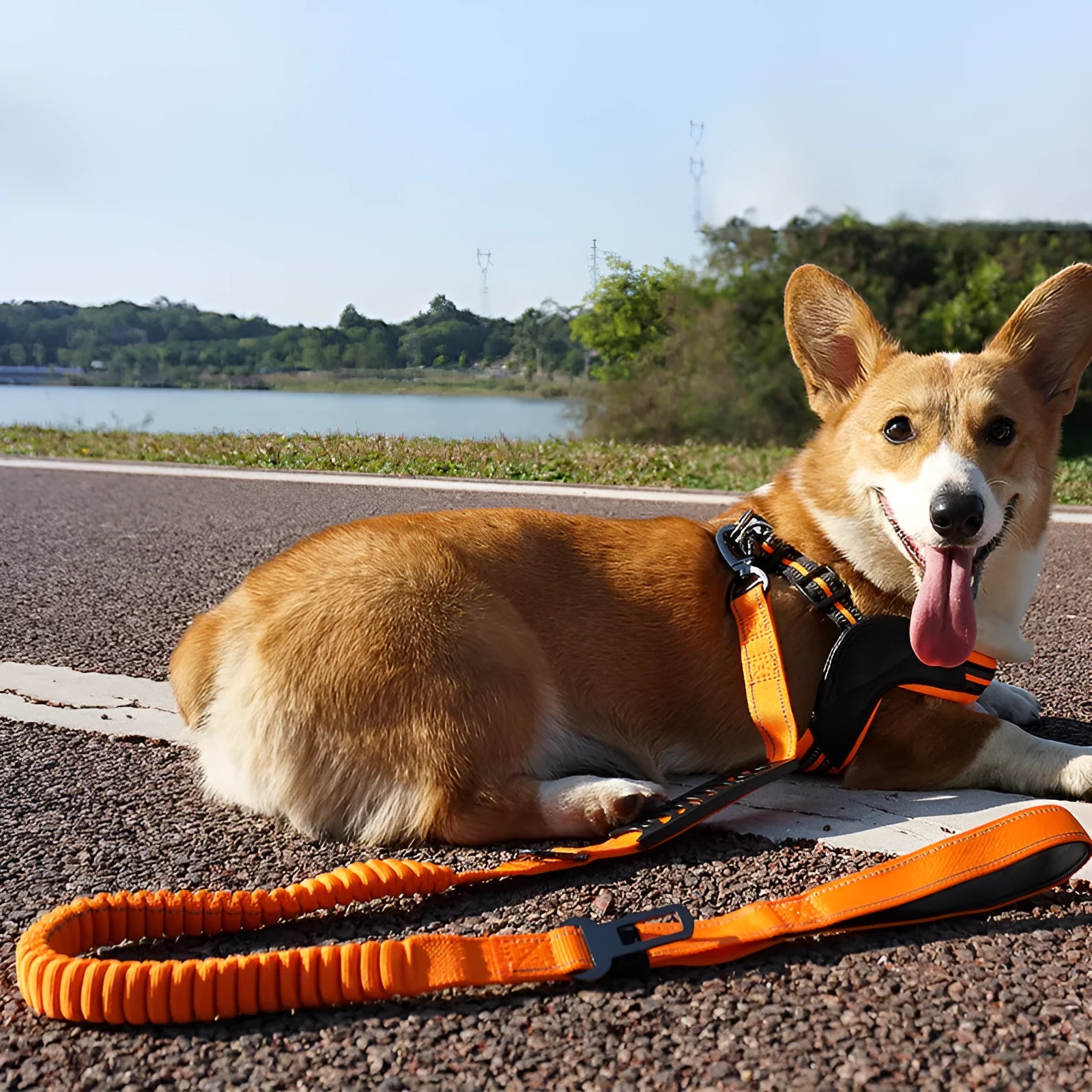 Retractable reflective dog leash with rope-buffered handle in black, orange and khaki colour options