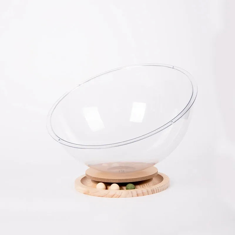 Transparent acrylic bathtub-shaped cat space capsule on a wood board base.