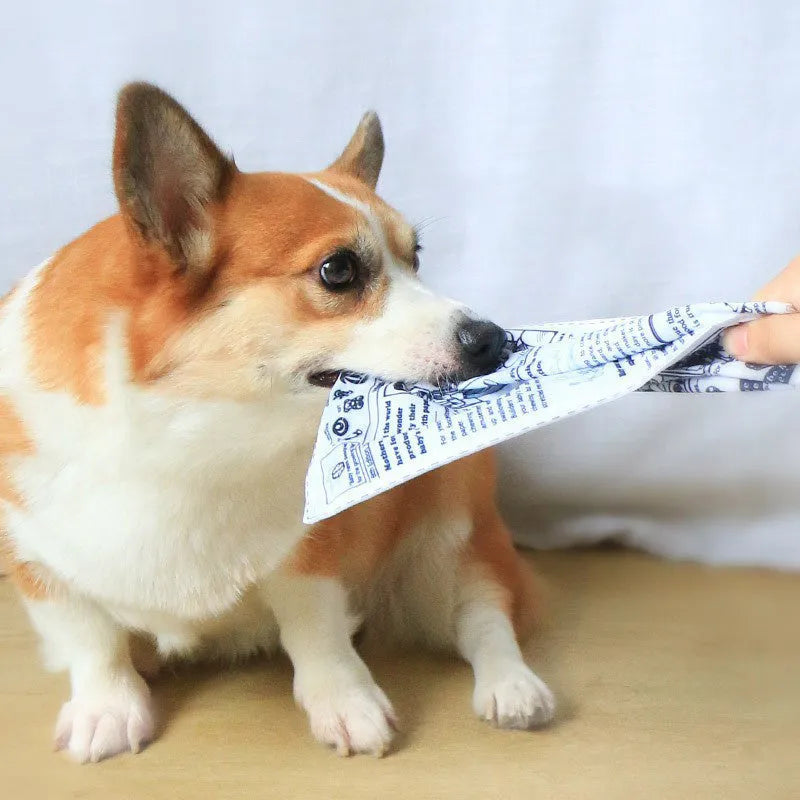Tear-resistant squeaking dog toy shaped like a newspaper or playing card for corgi and puppy chew play.