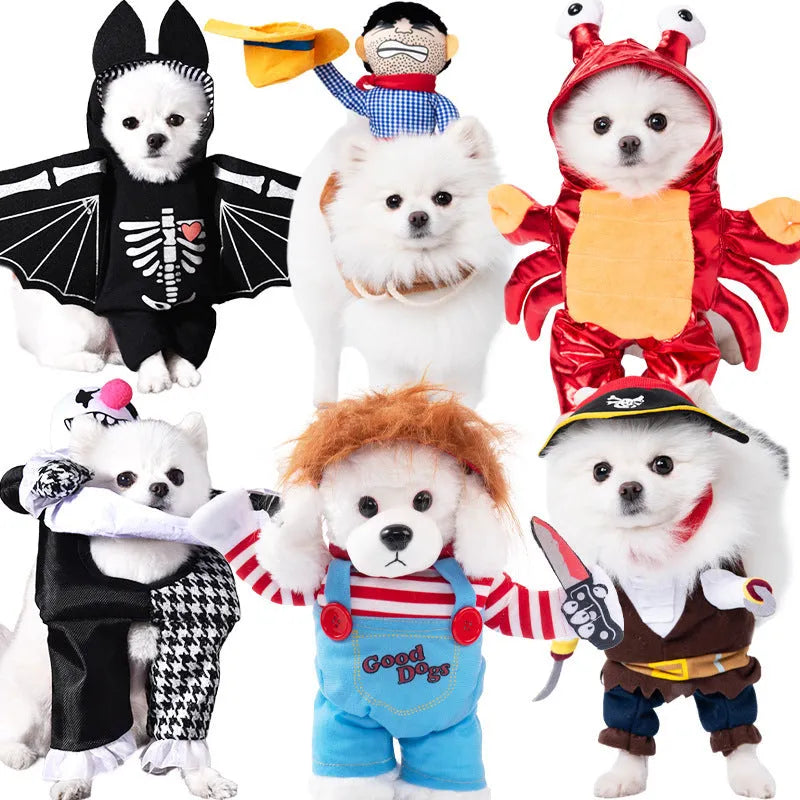 Halloween dog wearing a funny costume such as a bat suit or pumpkin pack