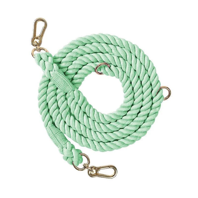Woven rainbow coloured dog leash with clips at both ends, shown in a choice of colours with silver or gold fittings.