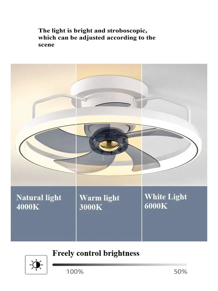 Modern ceiling fan lamp with light showing PC blades and acrylic shade in rose gold finish