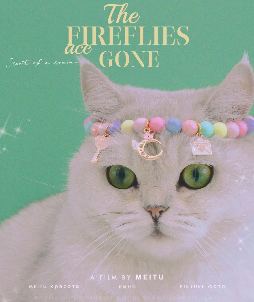 Colourful resin pet collar and bracelet set with moon and rabbit charms in macaron colours.