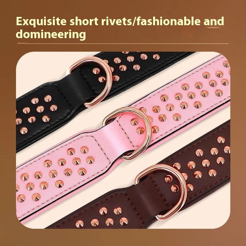 Leather dog collar with metal rivets in black, shown on a size chart with chocolate and pink colour options.