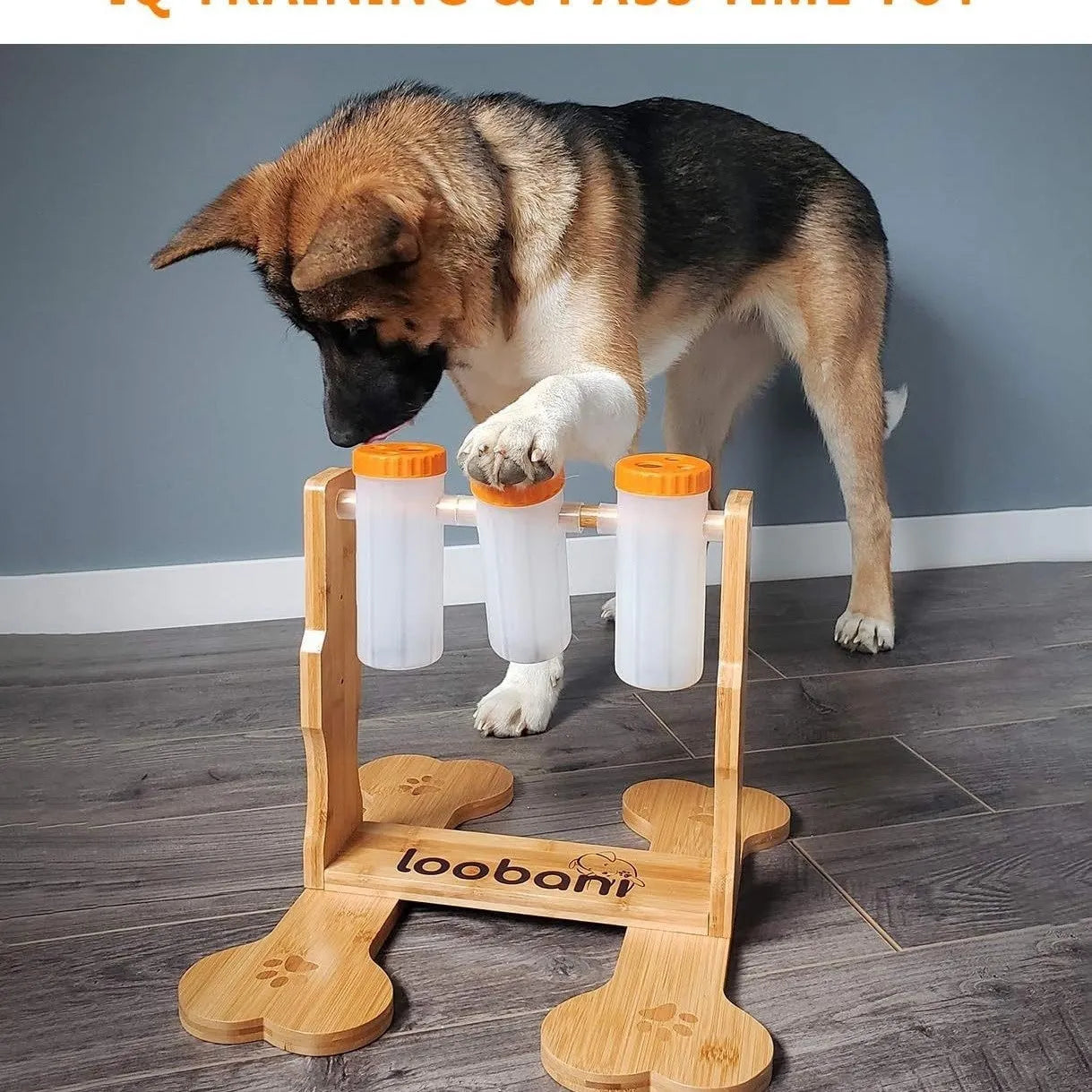 Wooden dog puzzle toy feeder with treat compartments measuring 31x30x20cm