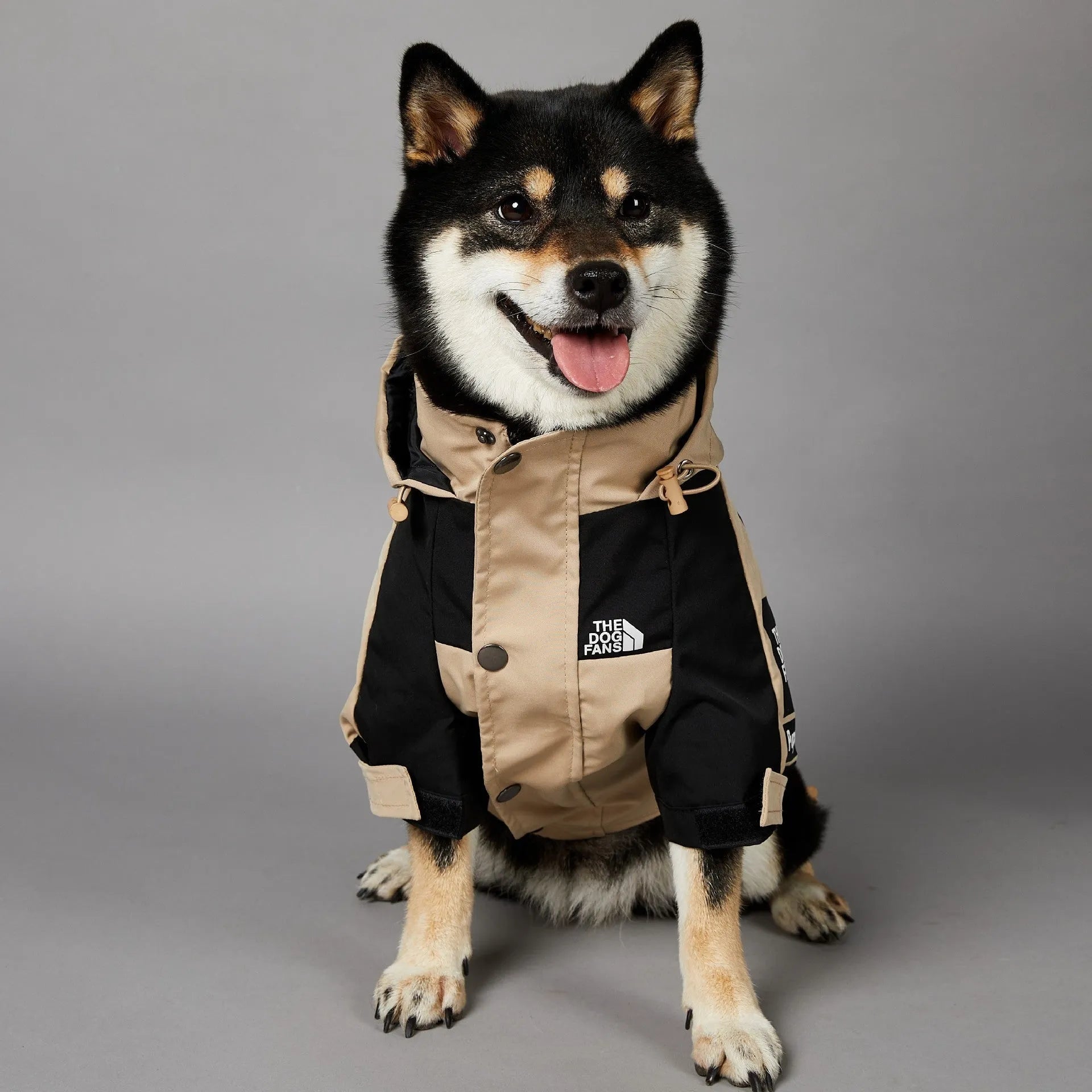 Khaki polyester dog shell jacket shown on canine model, available in sizes S through 5XL