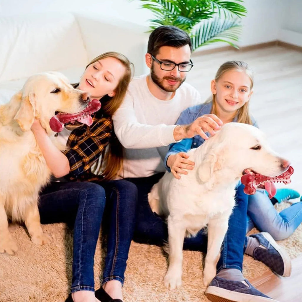 Red natural rubber chew toy for aggressive dogs and strong chewers