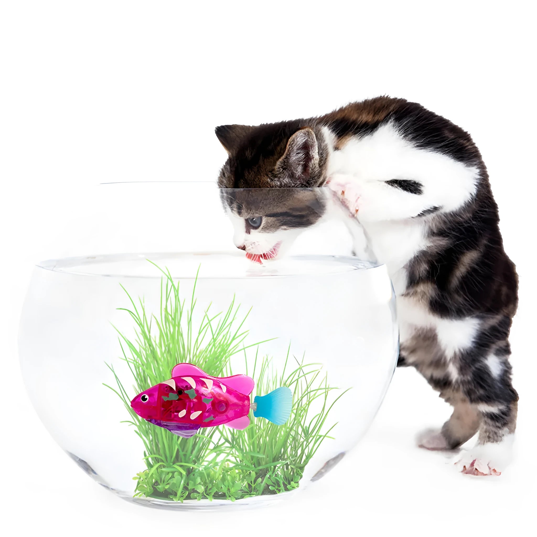 Electronic LED cat toy fish with swimming motion and light-up grass section