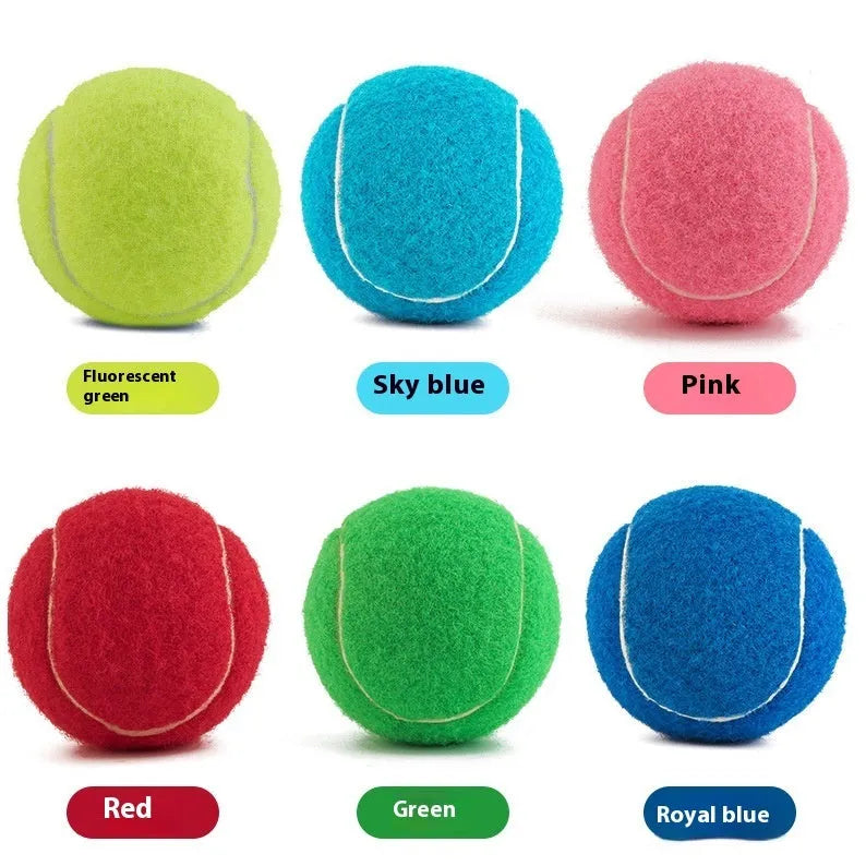 Bright pink, blue, yellow, green, and orange 6.3cm rubber tennis balls for dogs on grass.