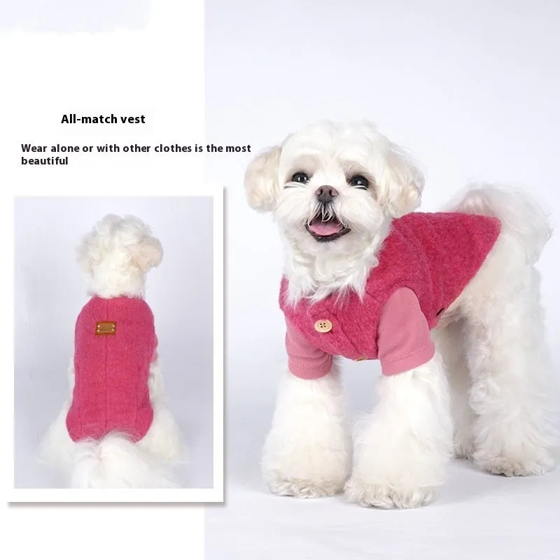 Small dog wearing a blue Korean-style cotton cashmere vest for autumn and winter.