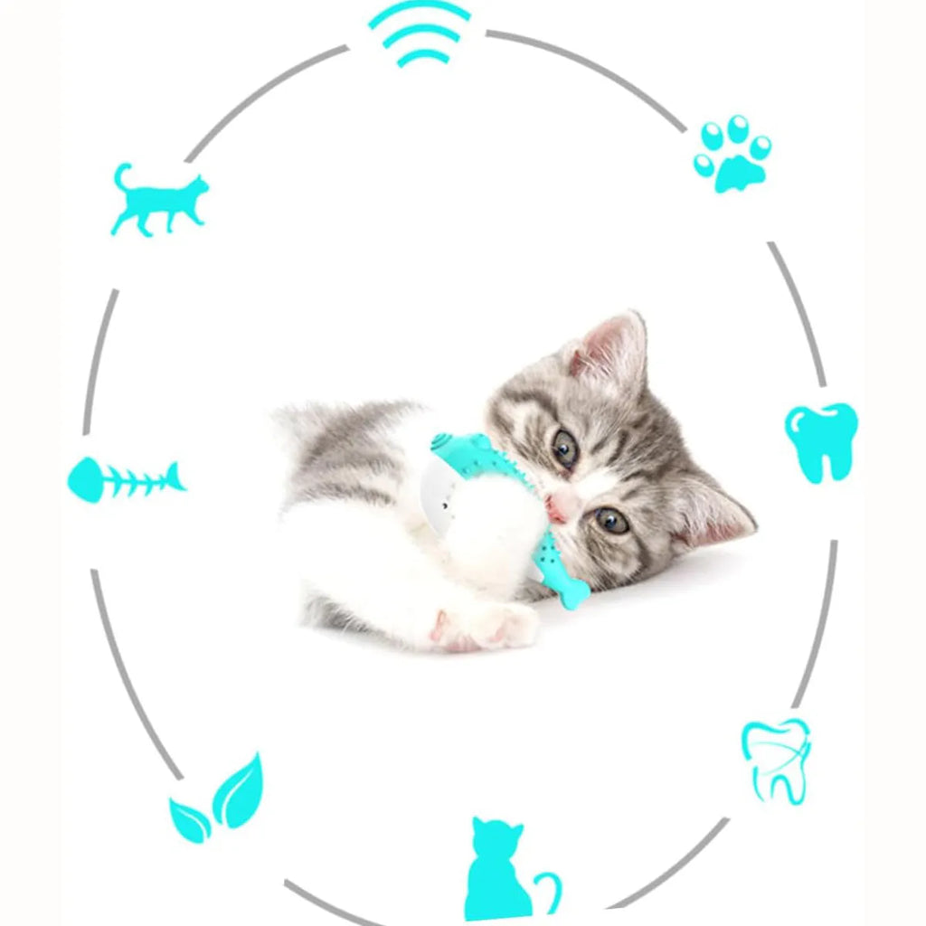Blue silicone fish-shaped cat chew toy on a white background.