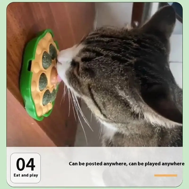 Four green lotus-shaped catnip balls mounted on wall for interactive feline play