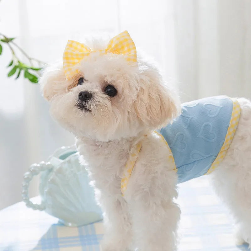 Small dog wearing a blue elastic vest with a heart texture and bow suspenders.