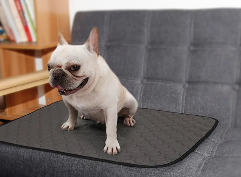 Reusable dog urine pad in beige with non-slip bottom and TPU waterproof layer, machine washable