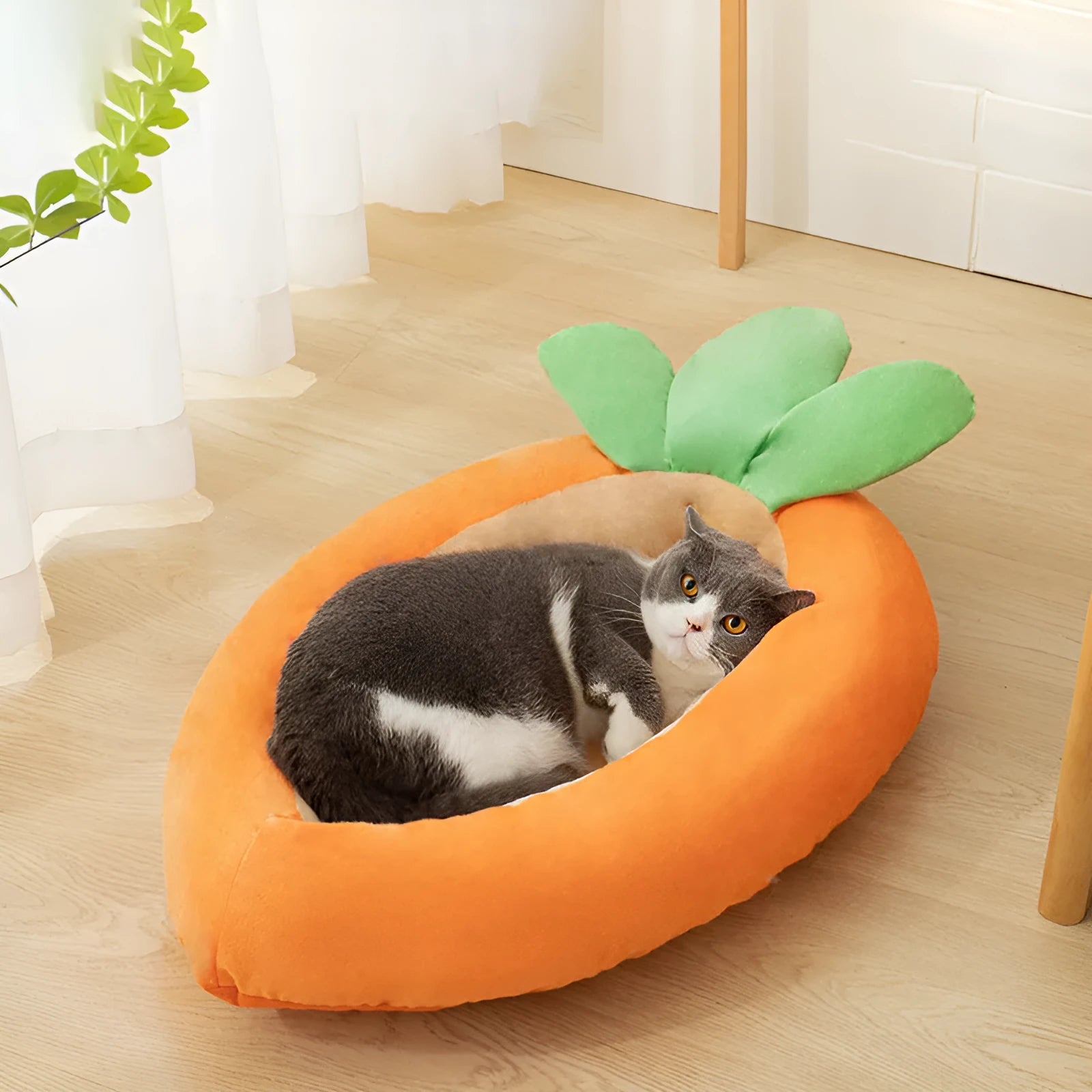 Large and medium sized dog nesting bed with a soft, removable washable blanket.