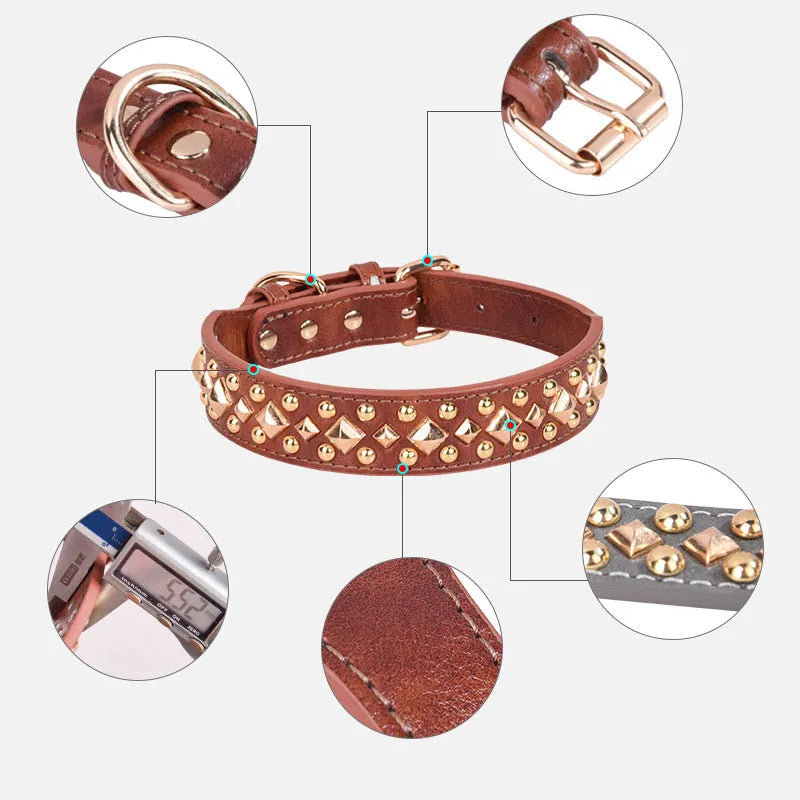 Rivet leather dog collar with golden rivet decoration in black on white background