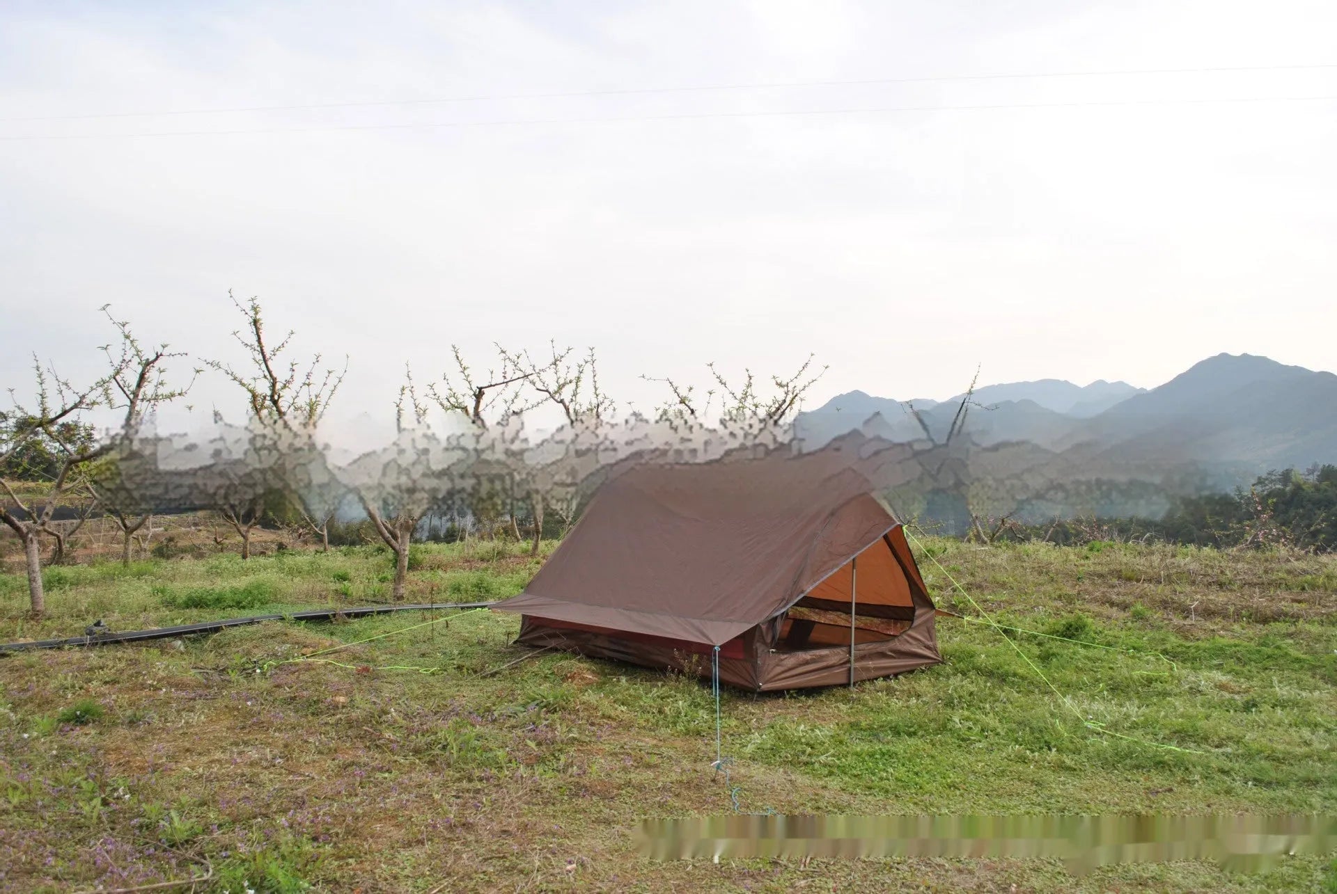 Brown A-Line pole-free cabin tent set up in a forest, showing its spacious interior for 2-3 people.