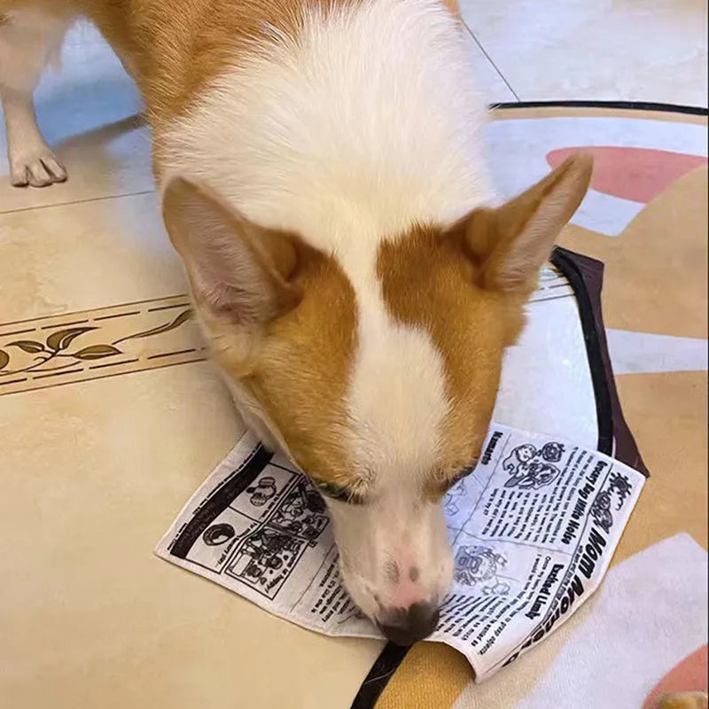 Tear-resistant squeaking dog toy shaped like a newspaper or playing card for corgi and puppy chew play.
