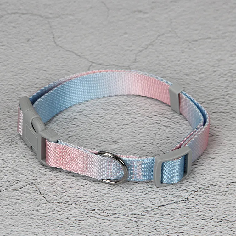 Gradient colour dog leash set showing nylon collar, harness, and matching lead in pink and yellow combination