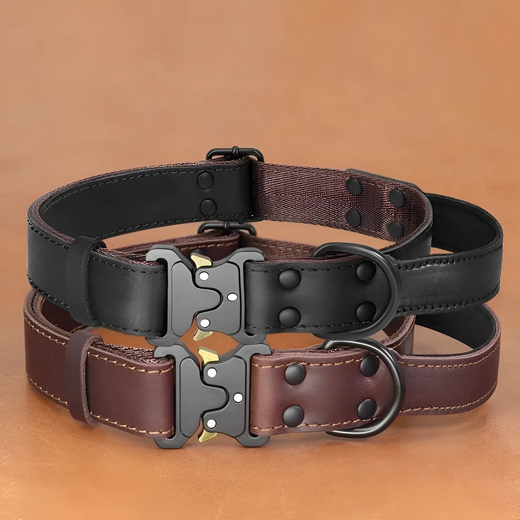 Black leather bandana collar with matching explosion-proof pulling rope for large dogs