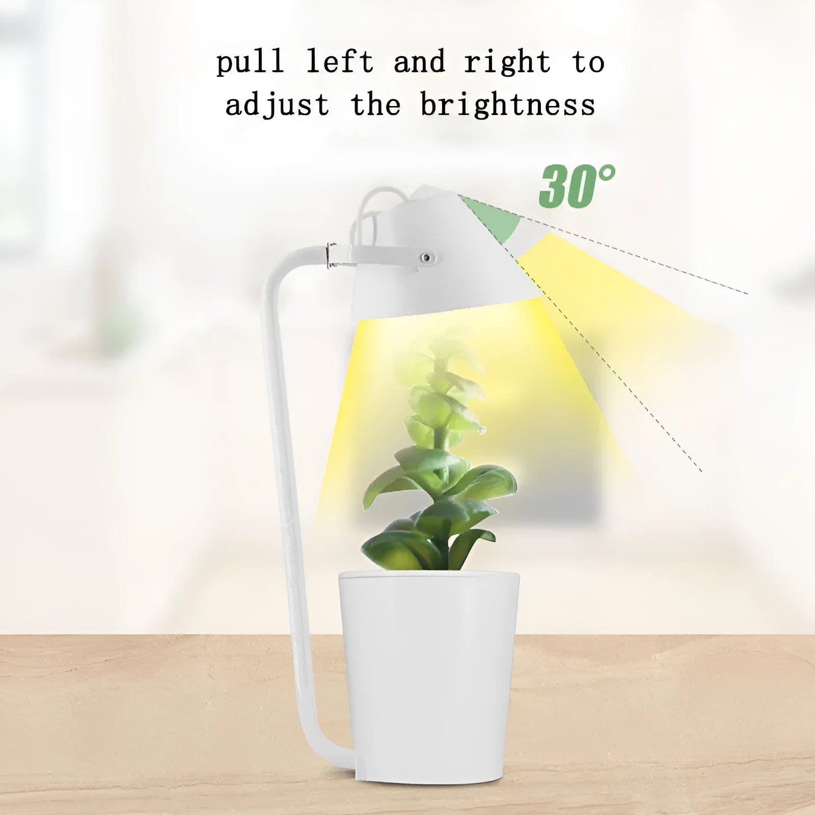 White plastic desktop hydroponic container for soilless plant cultivation.