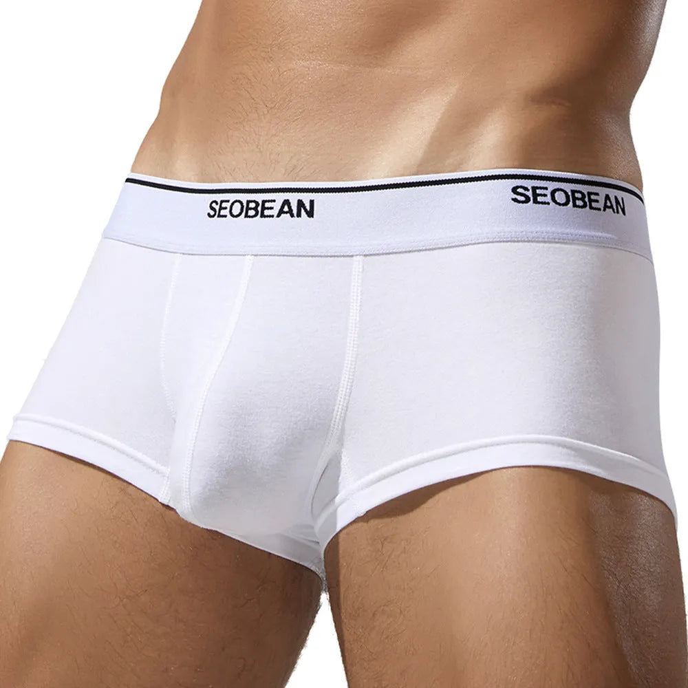 Men's solid colour cotton low-rise boxer shorts laid flat, showing the waistband and leg openings.