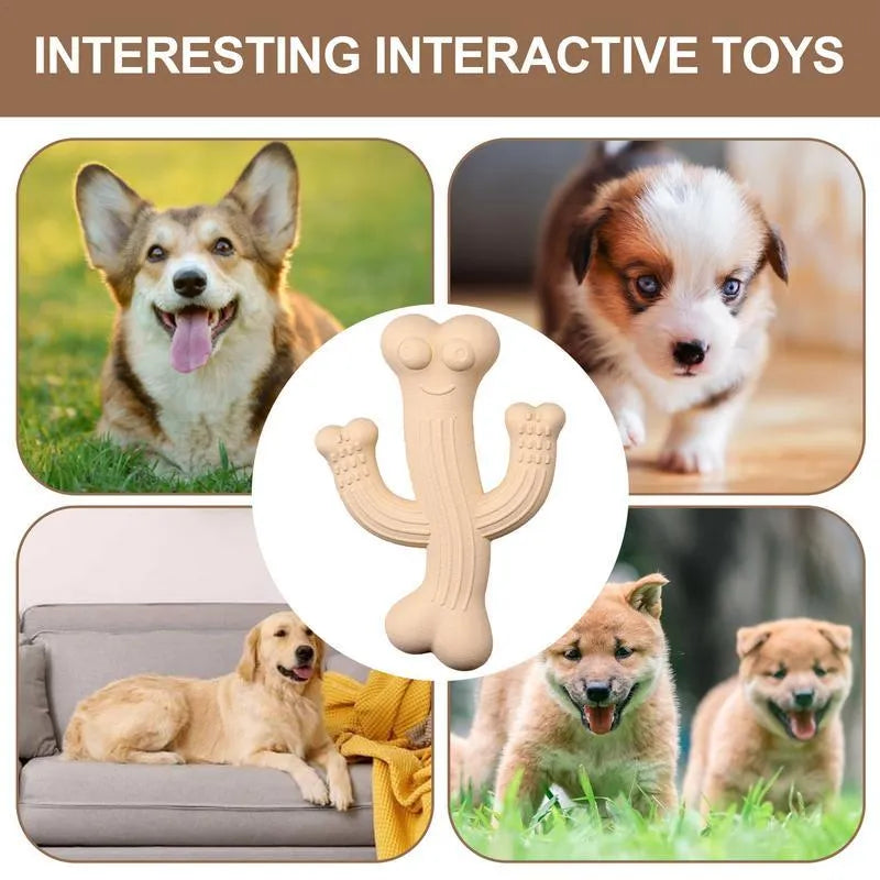 Cactus-shaped dog chew toy in bamboo fibre and rubber, shown in beige, blue, and purple colours.