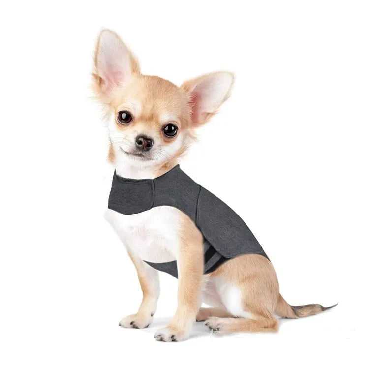 Heather Grey dog anxiety vest in brocade cotton ponte-de-roma fabric, shown on a model dog.