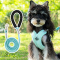 Blue polyester dog vest with an attached hand-holding rope for training.