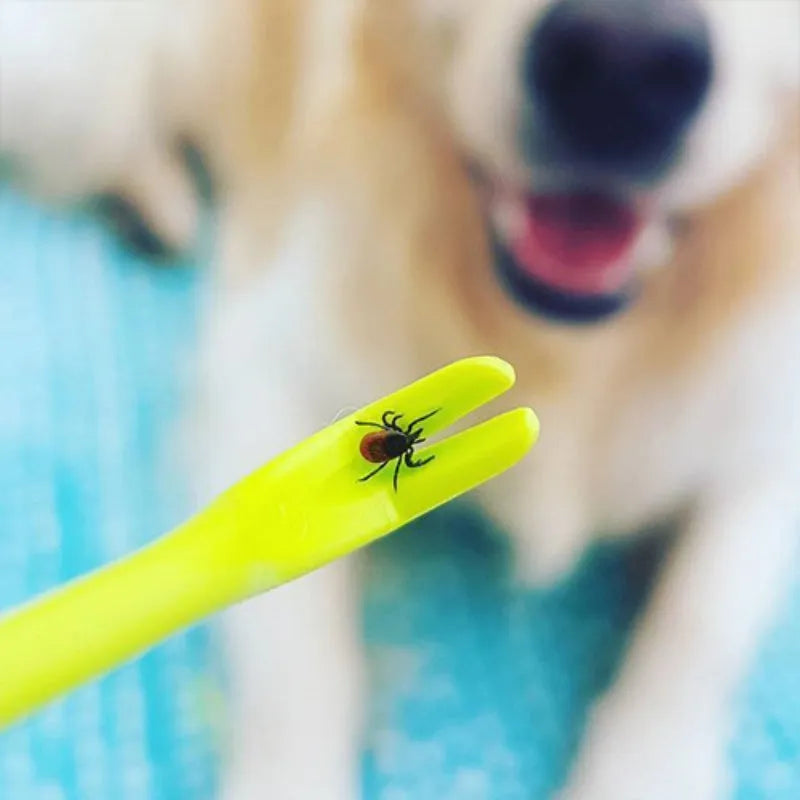 Three plastic pet tick removal hooks in blue and green colours for dog and cat parasite elimination