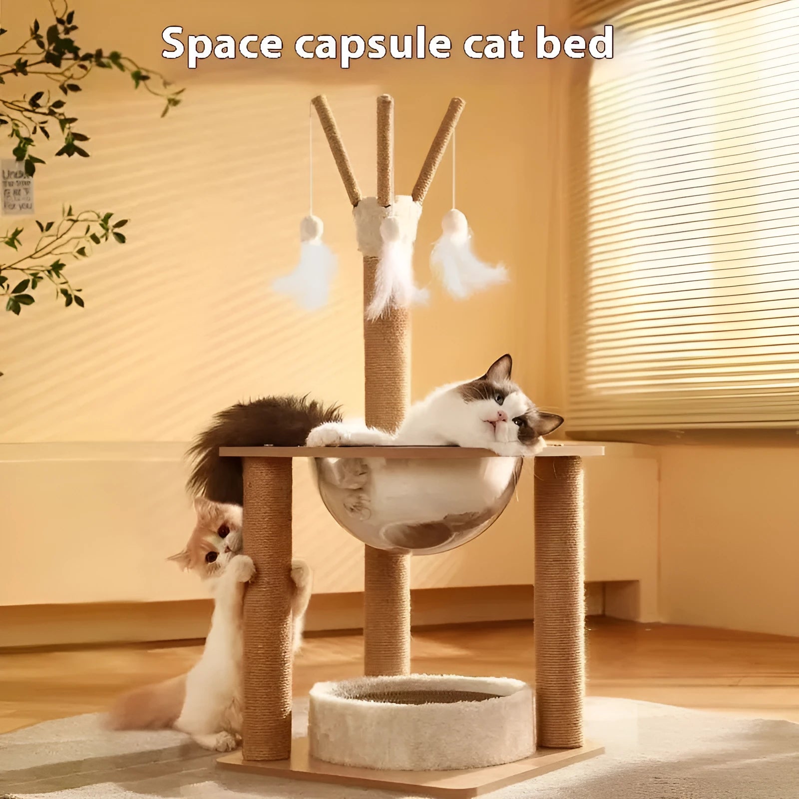 Wooden cat climbing frame with integrated space capsule pet bed in natural wood colour