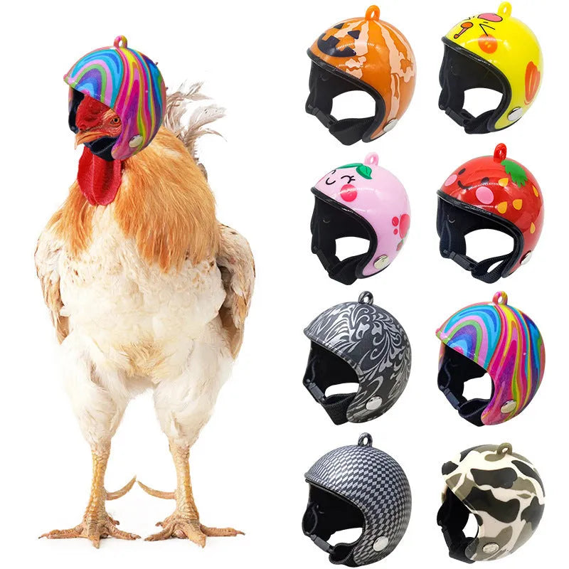 Colourful plastic chicken helmet for small pets on a white background
