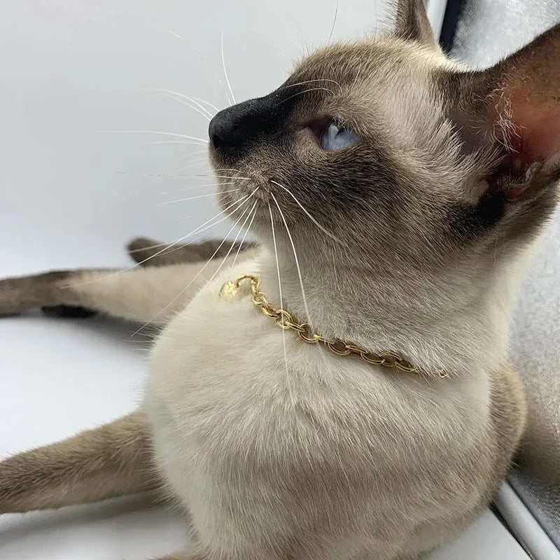 Stainless steel pet pendant necklace with love heart charm on curb chain in gold or silver finish
