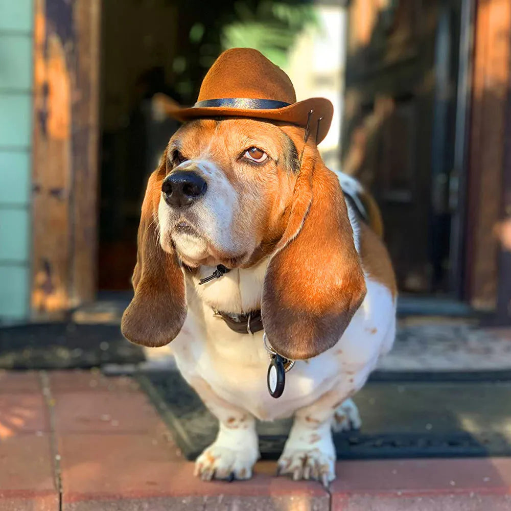 A brown adjustable cowboy hat for a dog or cat, shown on a pet mannequin head.