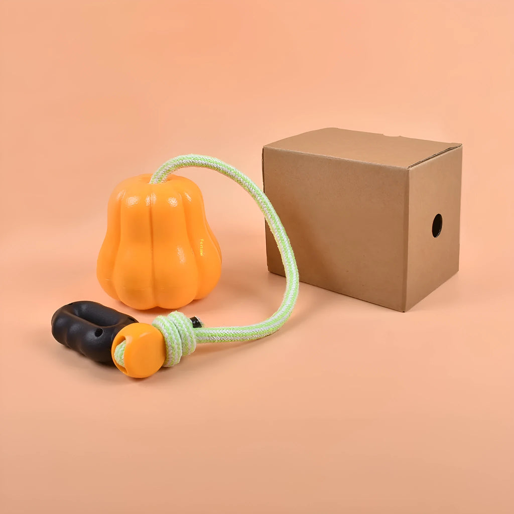 Single pumpkin coloured plastic molar dog toy with an attached rope for chewing and fetch.