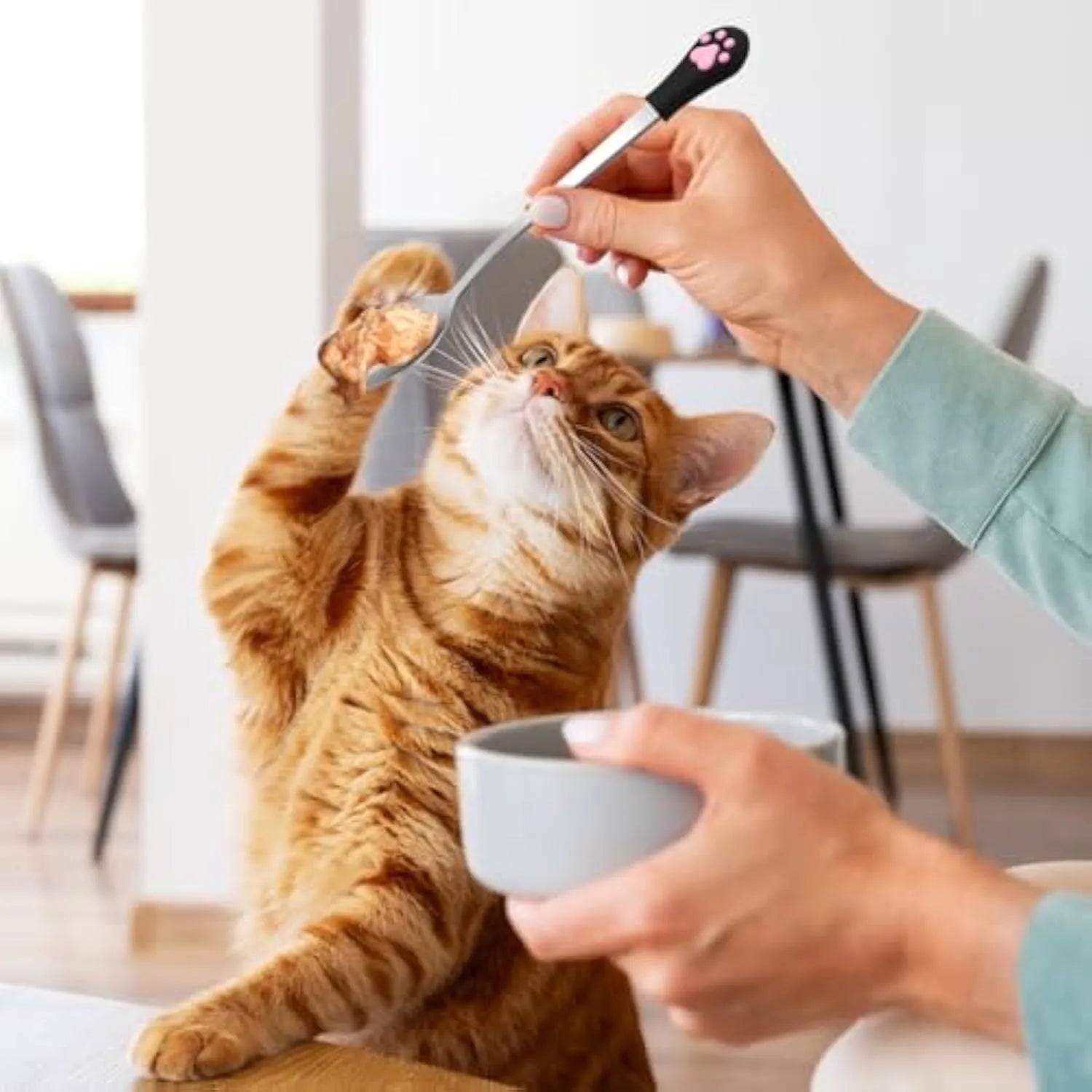 White and black pet food spoons with stainless steel heads and silicone handles showing cat paw design