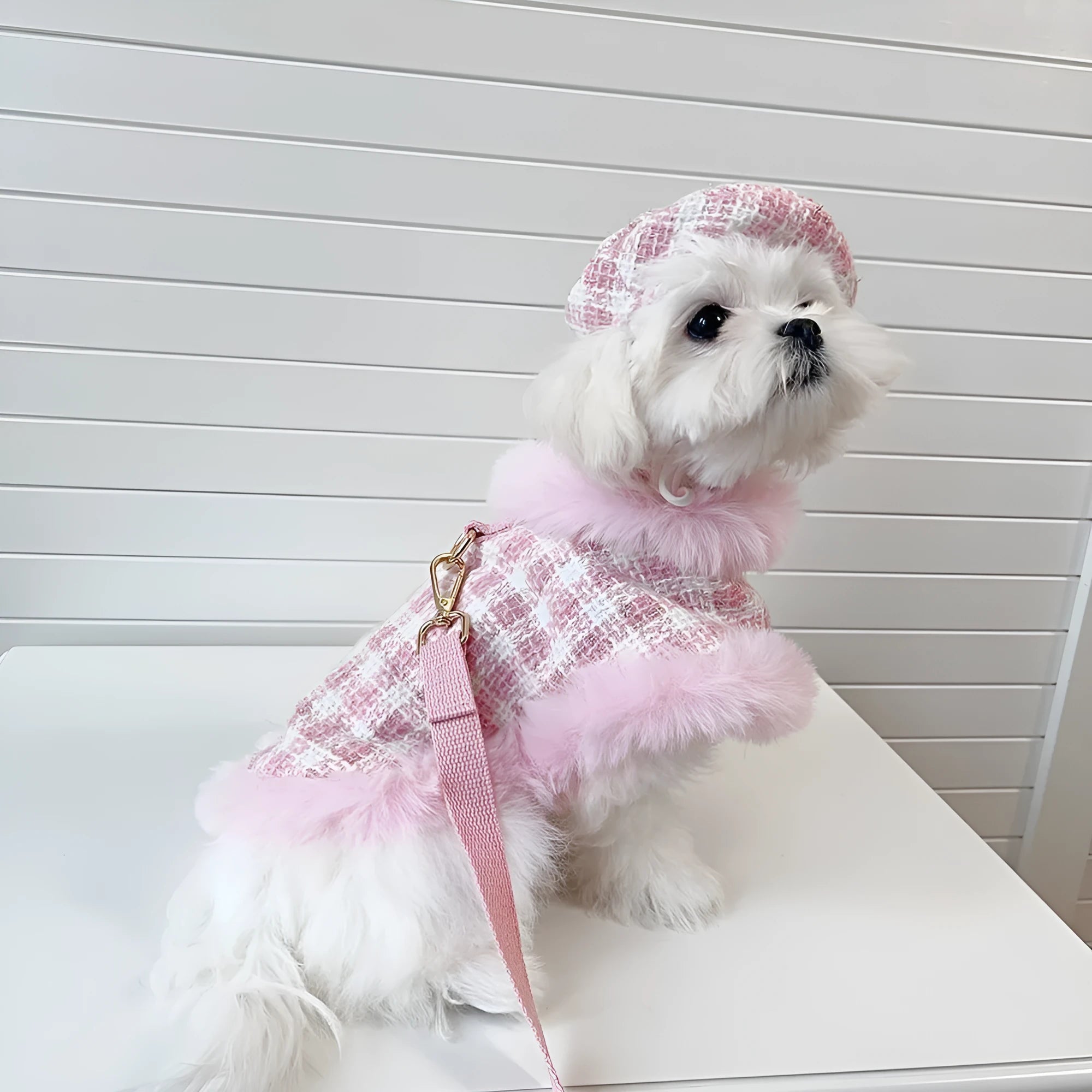 Pink cat costume set with cape featuring hand-holding rope and beret accessory