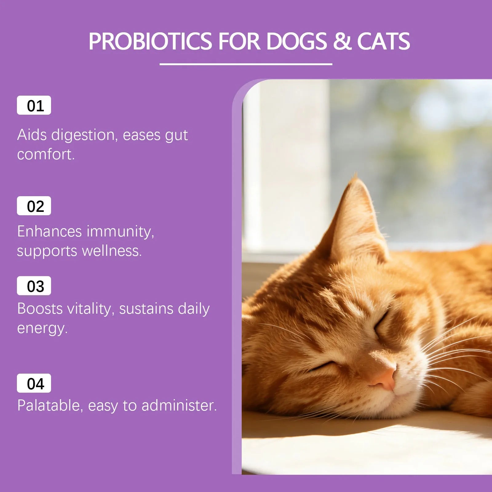 Probiotic powder for pet intestinal care 200g tub chicken flavour